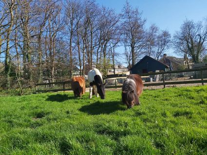 Kinderboerderij de Kloosterhof
