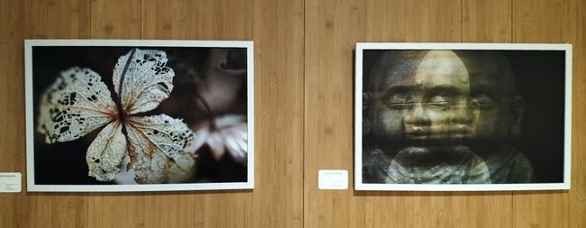 foto: Expositie Simeonshof - Maaike Simons