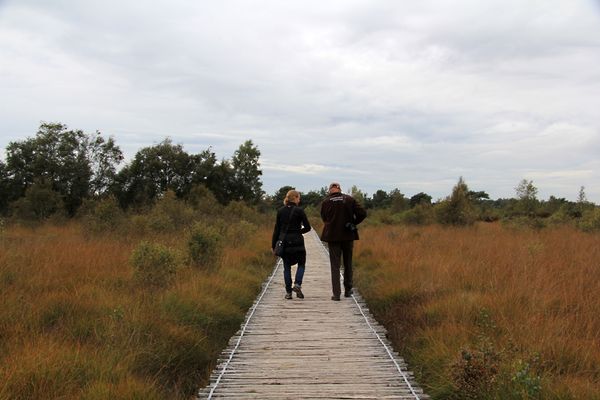 twee mensen wandelen op een knuppelbruggetje in de peel