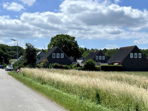 Zweedse Wijk