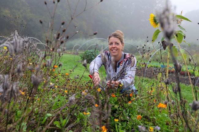 Een vrouw knipt de stam van een bloem.