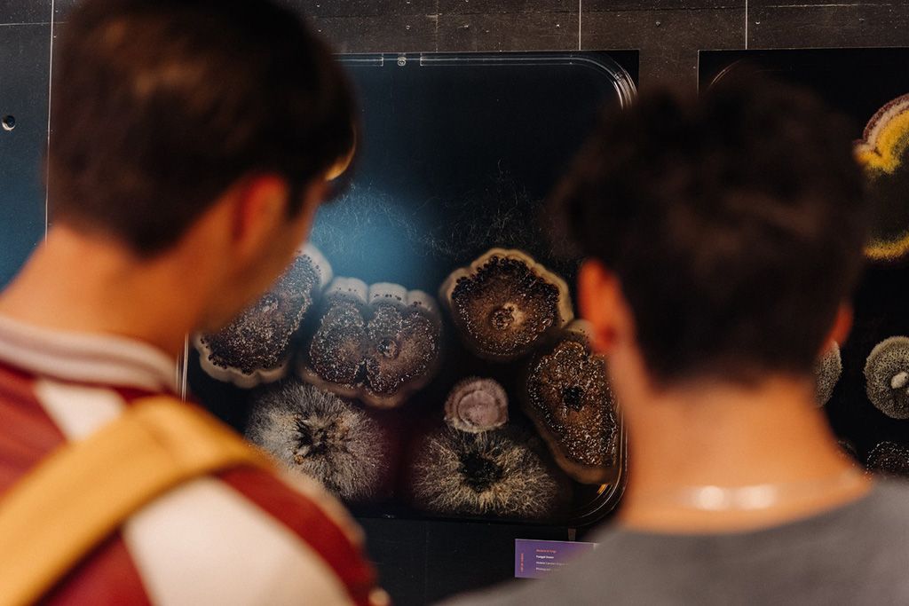 I Art My Science expositie