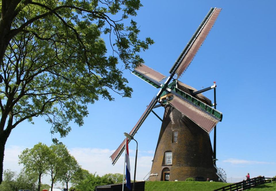 De voorkant van de Googermolen tussen de bomen