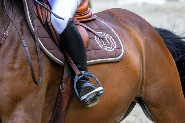 Paard ruiter