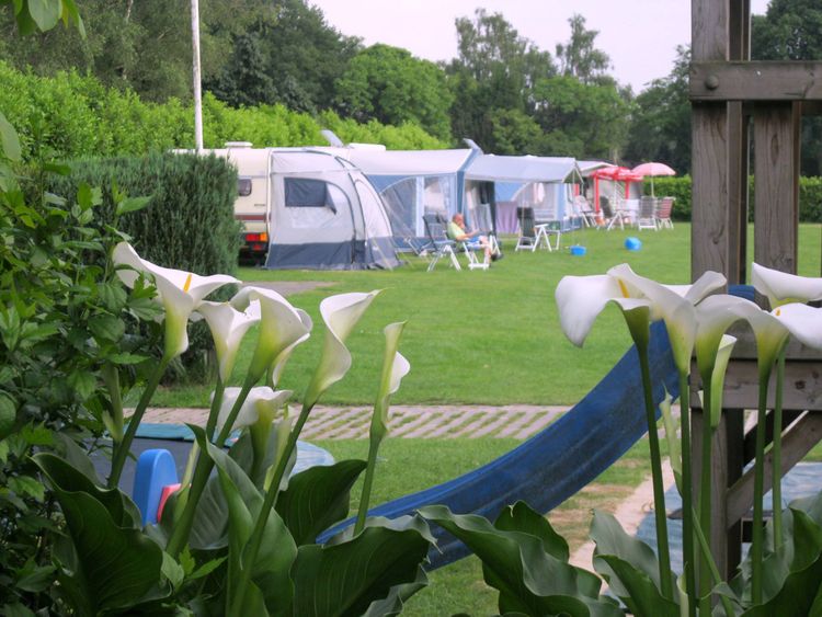 Doorkijkje tussen witte bloemen naar een speeltoestel en op de achtergrond diverse caravans en een groene rand van struiken en bomen.