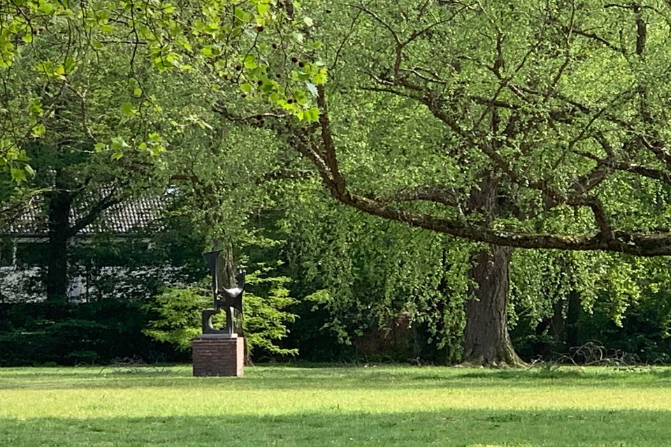 Tuinpad Park - Boom met beeld