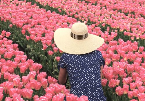 Een vrouw tussen de tulpen die ze fotografeert
