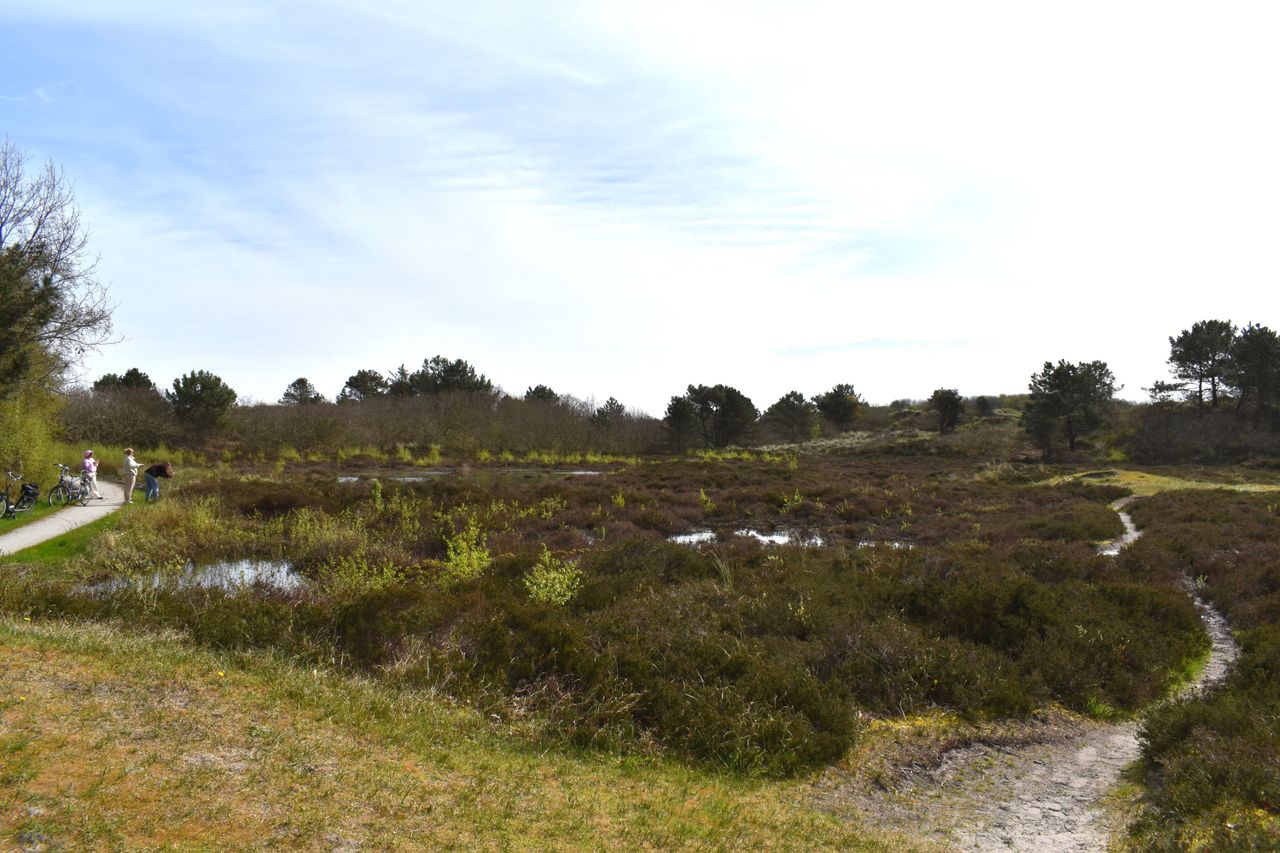 Vallei Vlieland header