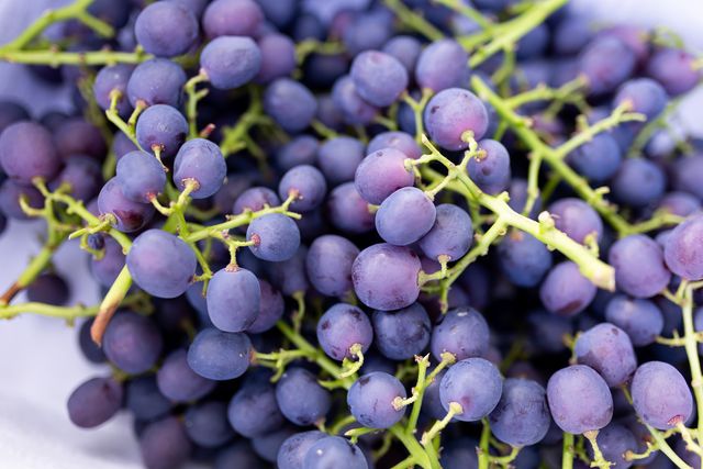 Druiven van Fruitteeltbedrijf Tromp