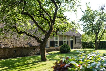 Een bed and breakfast met rieten dak.