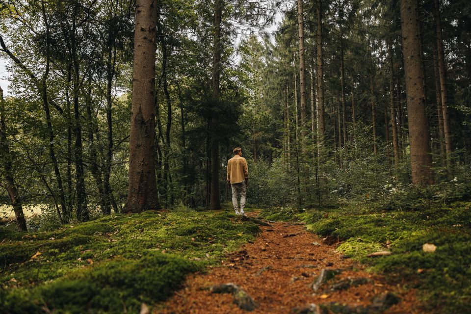 Een man loopt op een onverhard pad door het bos.