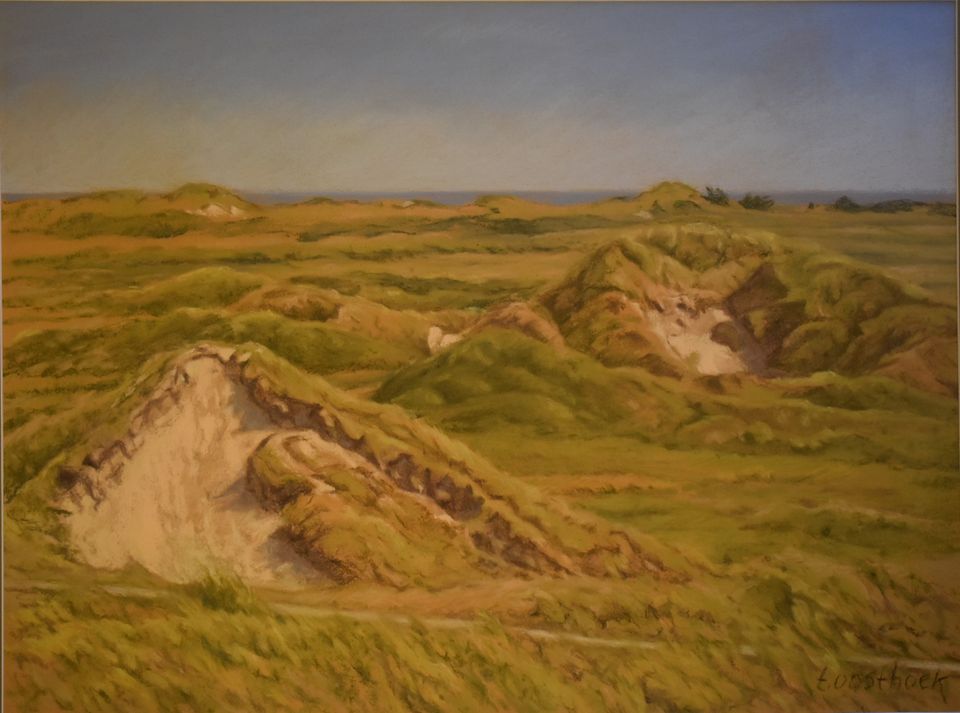Vlielands duinlandschap in pastel