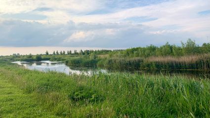 Foto van recreatiegebied Bentwoud aan de rand van Zoetermeer. Ontspannen in de natuur? Zoetermeer is de plek.