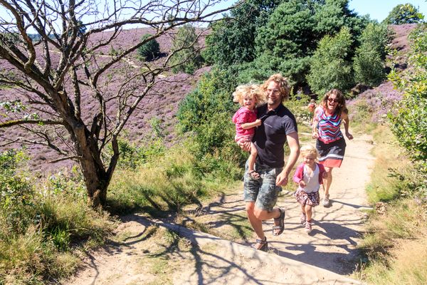 heide - gezin - wandelen - veluwezoom - natuur