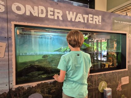 Jongetje staat te kijken naar de vissen in het aquarium van Natuurmonumenten in Groot Speijck