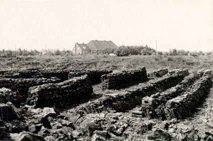 Veenplaggen in het Fochteloërveen