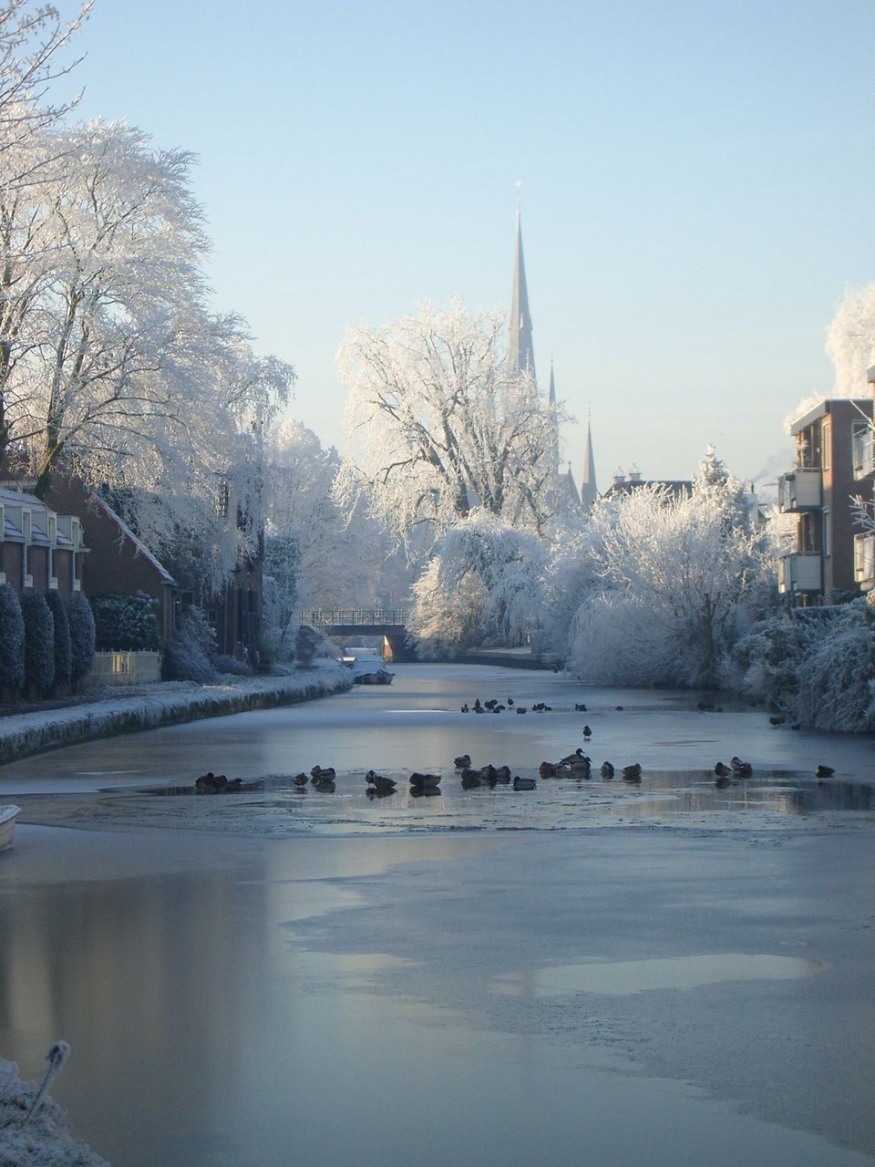 Een serene winterochtend aan het water: de singel ligt deels bevroren, omringd door bomen die glinsteren van rijp en sneeuw. Eenden rusten op het ijs, terwijl in de verte de kerktorens boven het landschap uitsteken. Het zachte licht en de spiegeling in het water geven het beeld een kalme, bijna verstilde sfeer waarin de stad even lijkt te pauzeren.