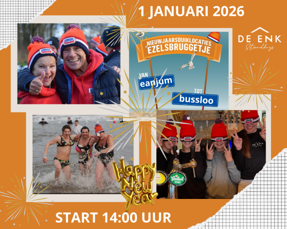 Nieuwjaarsduik 2026 Bussloo