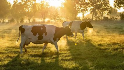 IVN-KNNV | Thema-avond | Op weg naar een houdbare landbouw