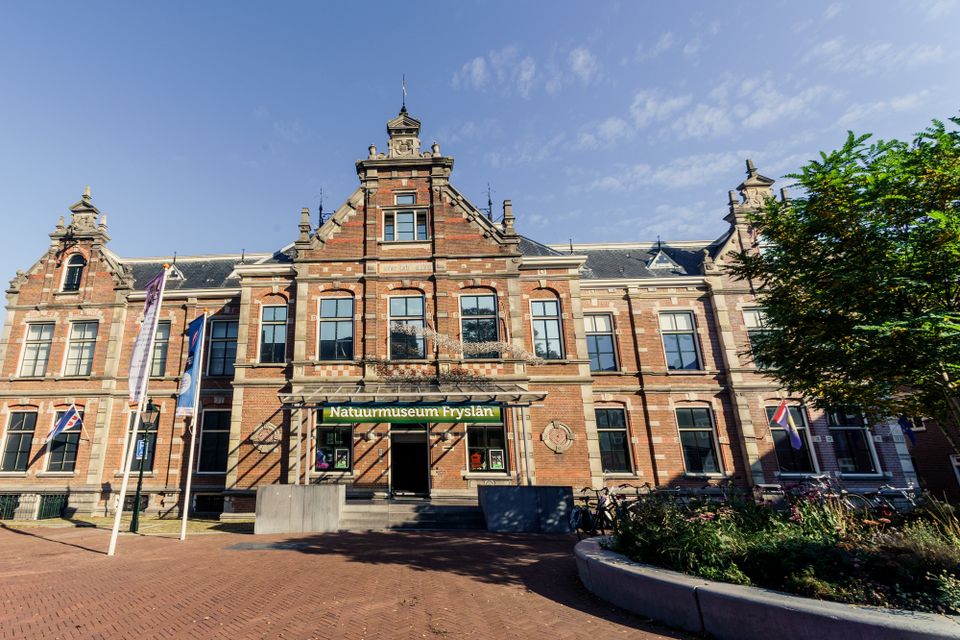 Natuurmuseum