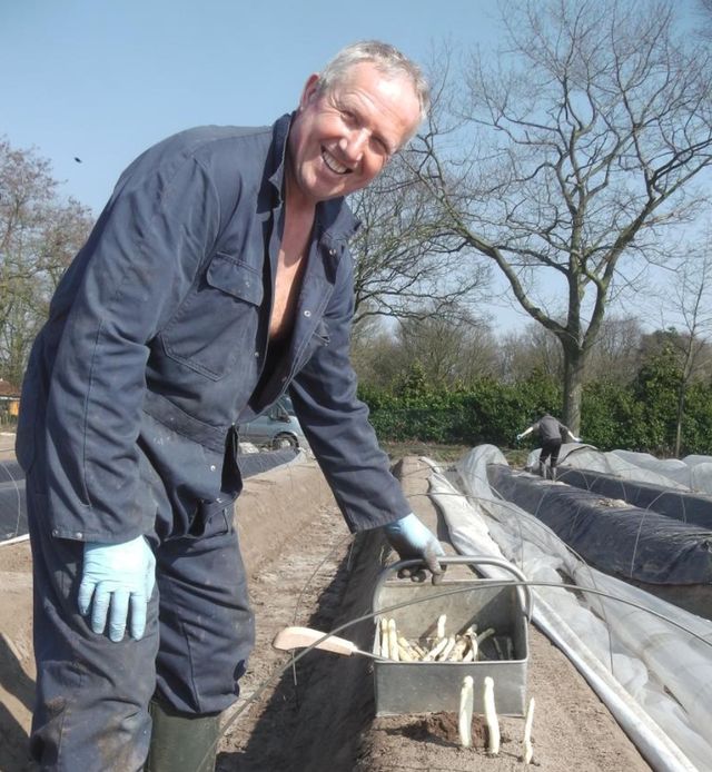 De Berkershoeve asperge oogst