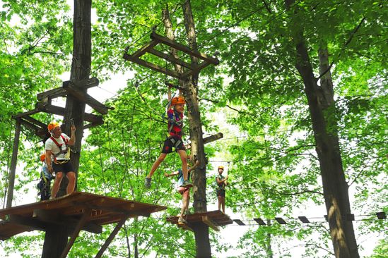 Rocks ’n Rivers Treetop Adventure Park | VisitBrabant