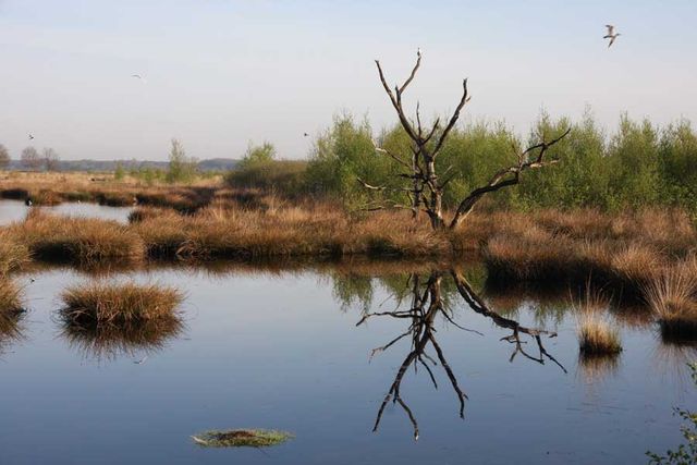 Wandelroute Koelevaartsveen