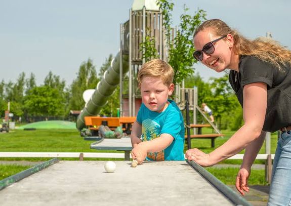 Drentse koe familiedag