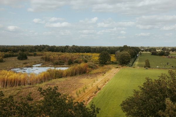 Bovenaanzicht ven in Groote Peel