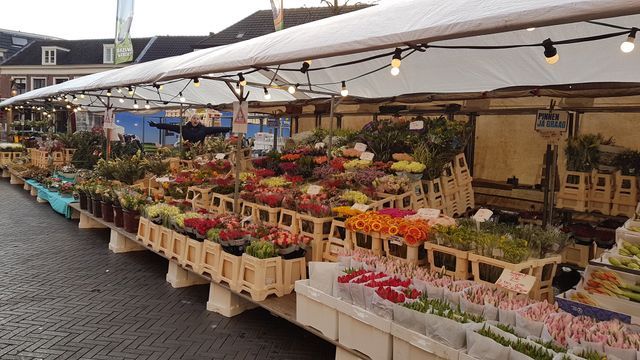 Bloemenkraam op de weekmarkt in Oosterhout centrum