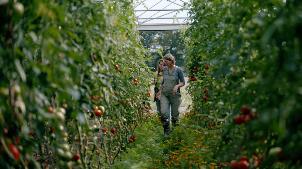Tweede Regio Toekomst Gesprek Achterhoek