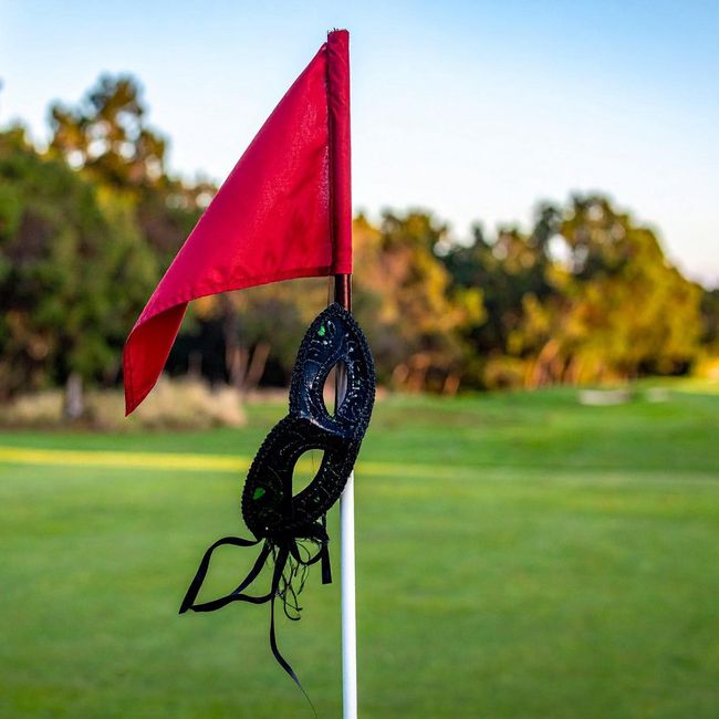 Pre christmas Bal Masque masker