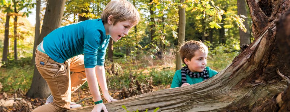 Twee kinderen spelen in de bossen bij een boom