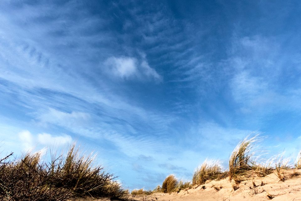 Lucht