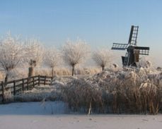 Winter in het veld