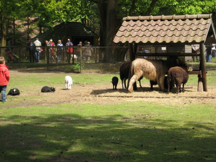 Kinderbauernhof ORO Rijtven Deurne