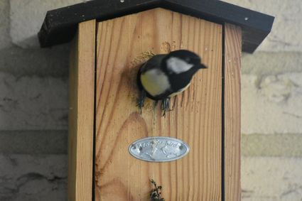 Vogelkooitje