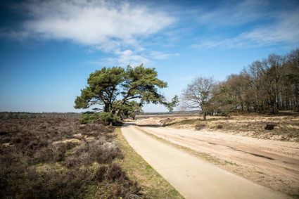 De Ginkelse Heide - Bezoek Ede