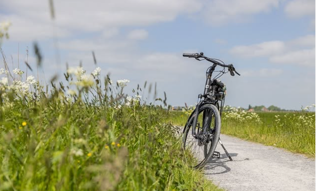 Fiets