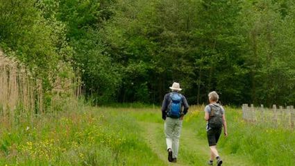 Twee wandelaars lopen over een groen wandelpad tussen graslanden en bomen tijdens een wandeling door Bloeidaal en De Schammer bij Amersfoort.