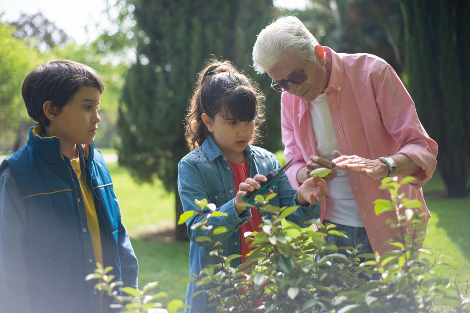 Kinderen leren over planten