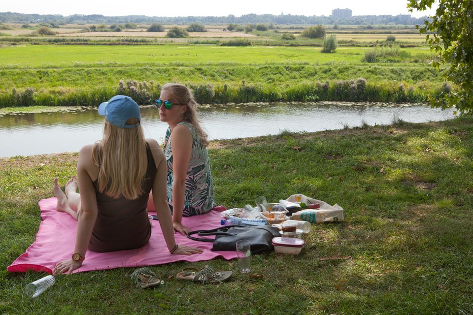 Mensen aan het picknicken in Het Bossche Broek.
