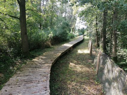 Vlerkenroute Someren