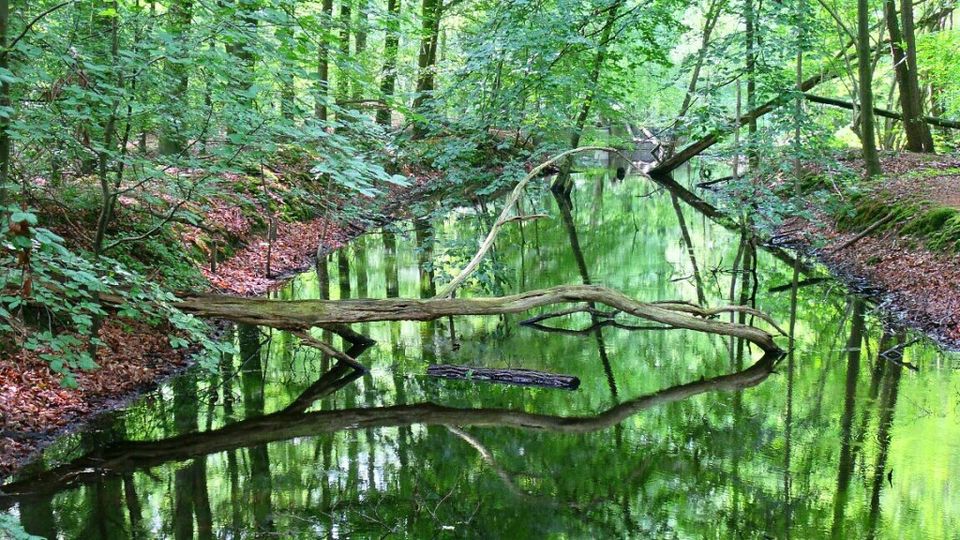 Waterloopbos Marknesse NOP Natuur Architectuur 2