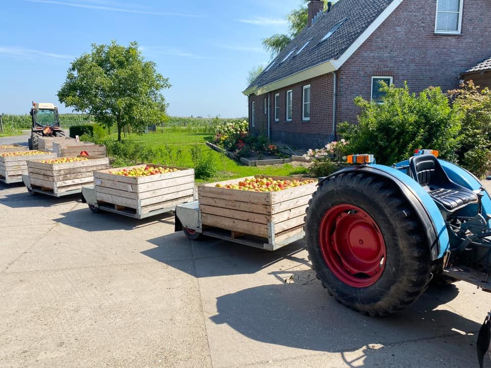 Een foto van een trekker met daarachter karren met vers fruit.