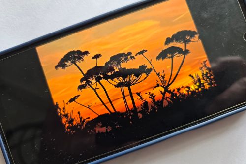 Smartphone met afbeelding van bomen en oranje lucht