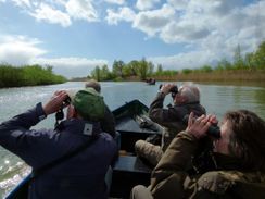 Wetland Struintocht