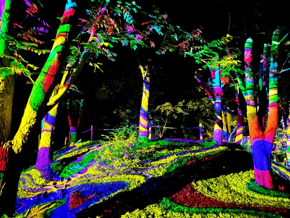 Lichtshow