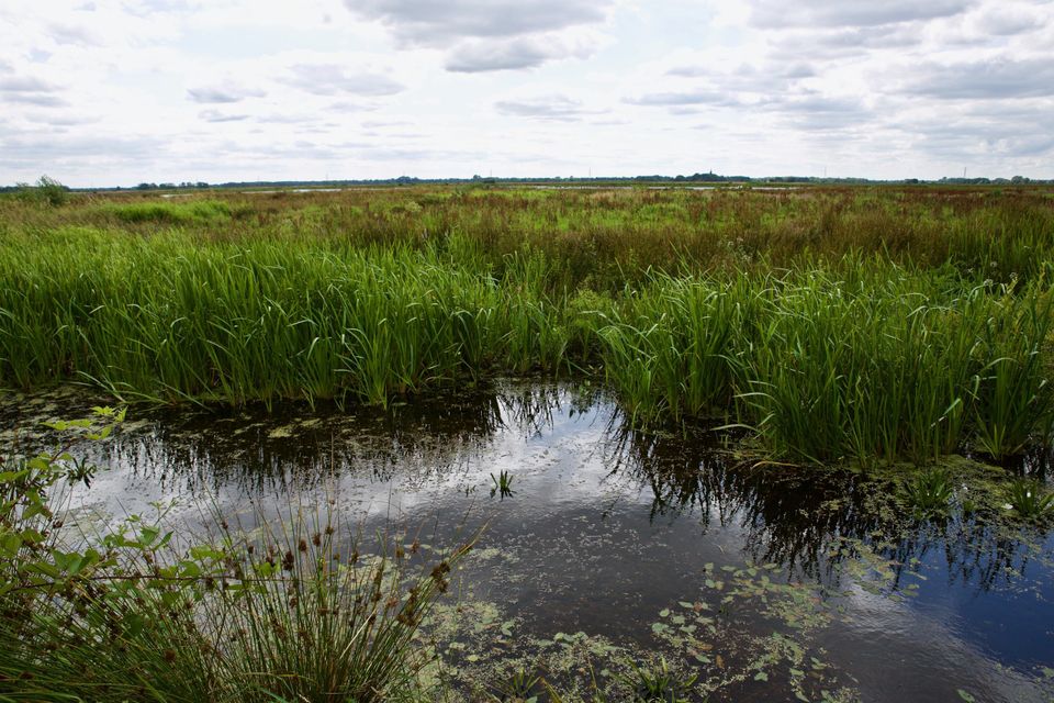 Natuurgebied de Onlanden