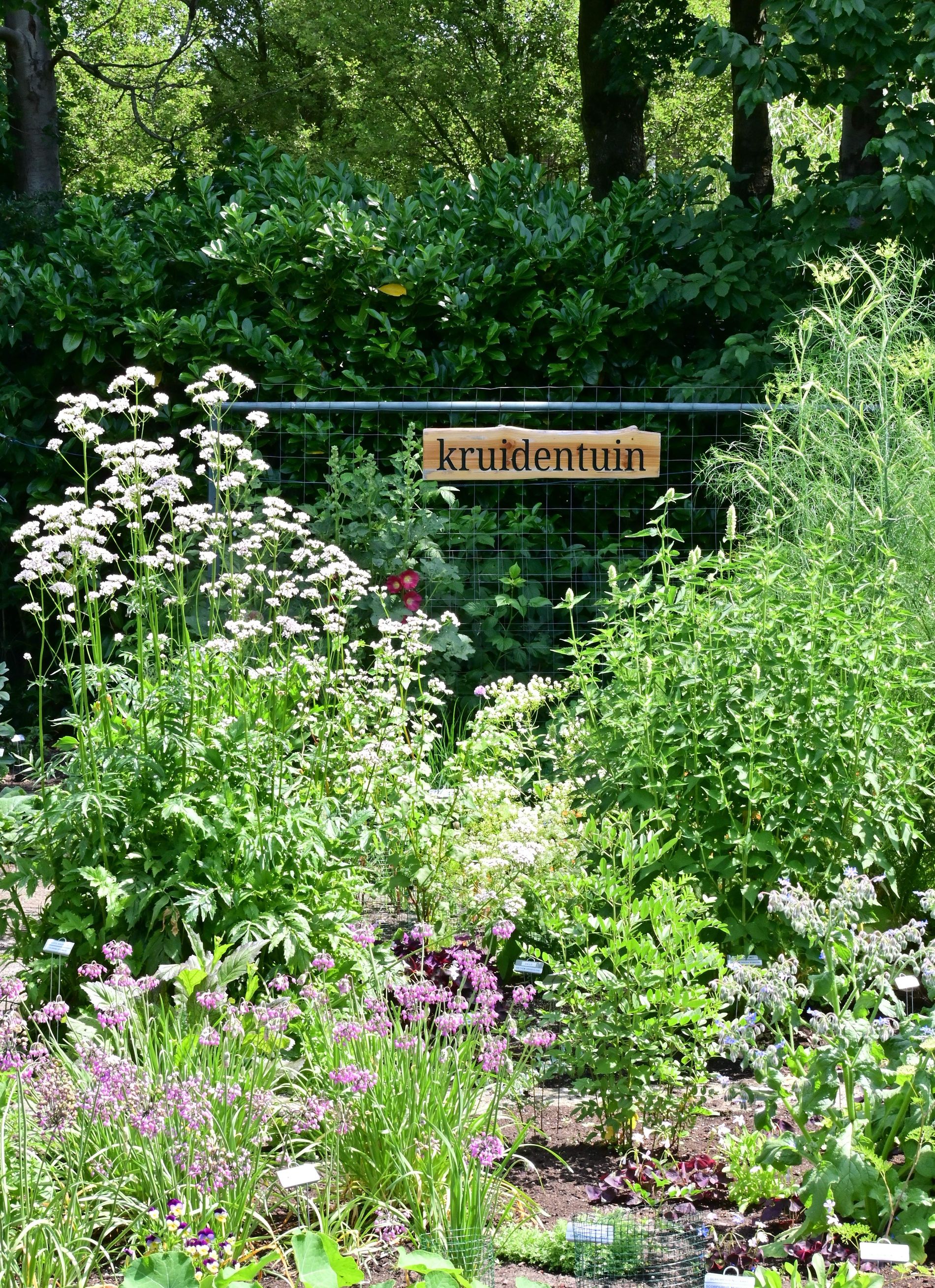 kruidentuin puur natuur